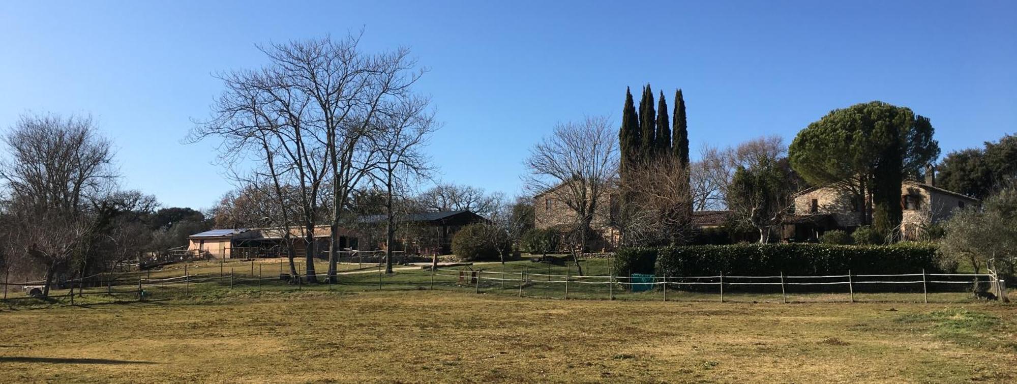 Podere Conte Racani Amelia Exterior foto