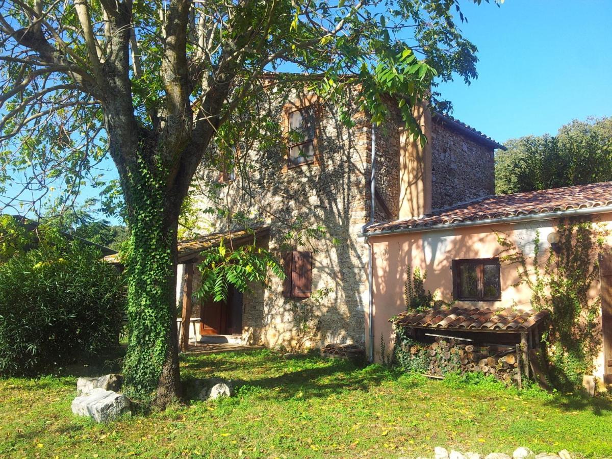 Podere Conte Racani Amelia Cameră foto